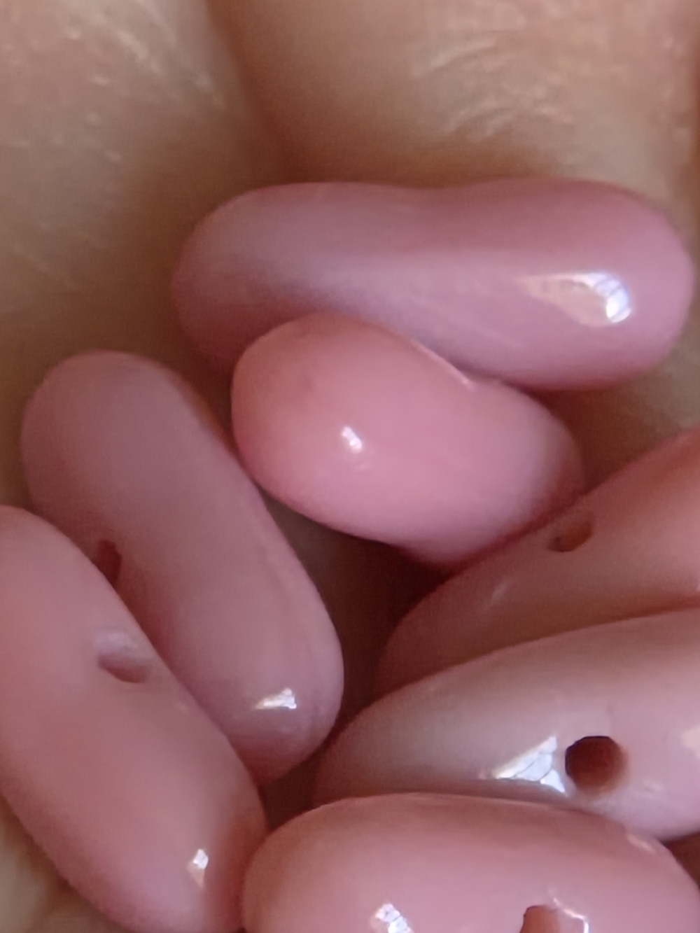 7pc Vintage Natural Pink Conch Pearl Suite - 6.90ct Old Stock Lilac Glow.